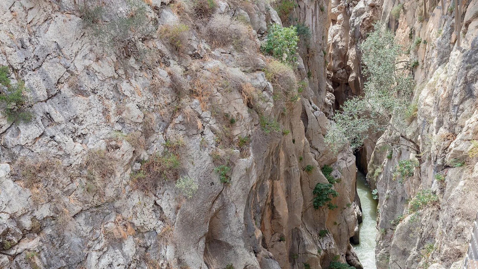 The Caminito del Rey walkway above the gorge